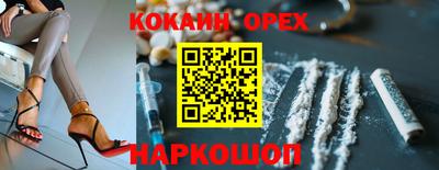 тгк Дубна