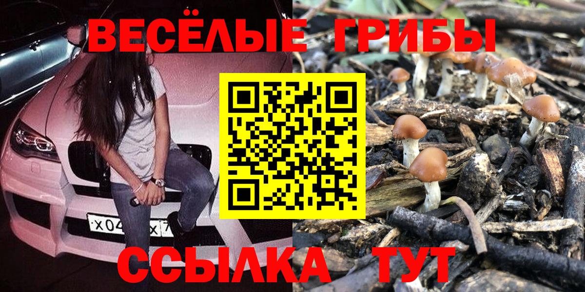 Галлюциногенные грибы Psilocybe  Вход с VPN  Славгород 