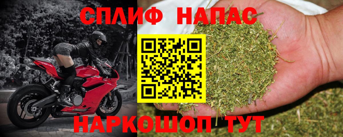 Каннабис OG Kush Славгород